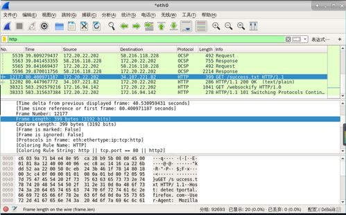 網絡嗅探技術與網絡安全軟件開發——信息安全實驗探究